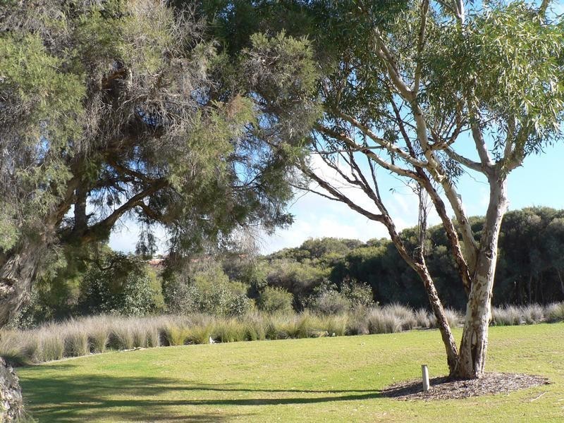 6 Pallarup Brace, Munster WA 6166