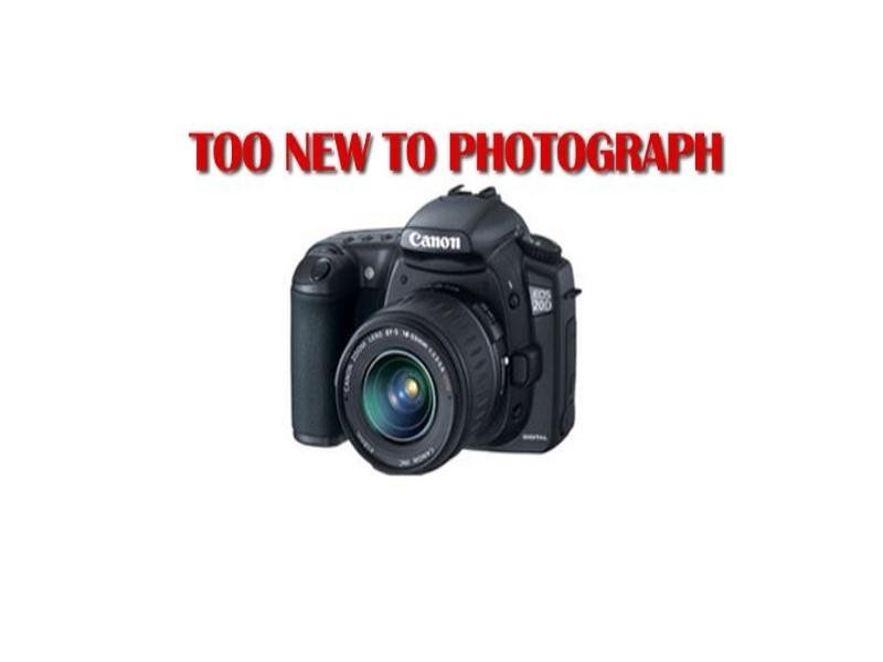 13 Weddell Close, Canning Vale WA 6155