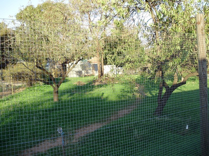 41 Second Street, Gawler South SA 5118