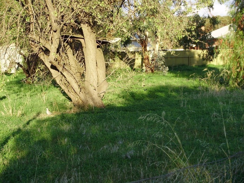 43 Second Street, Gawler South SA 5118