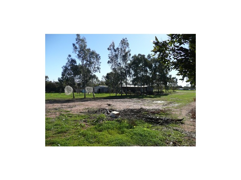 49 Gartrell Road, Roseworthy SA 5371