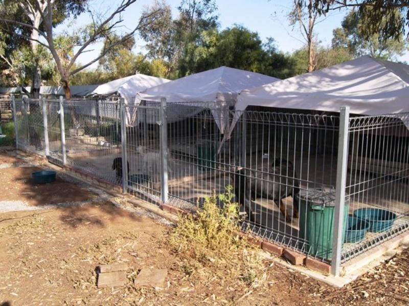 53 Aunger Road, Lewiston SA 5501