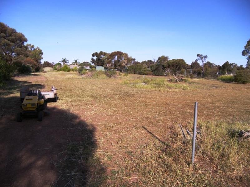 53 Aunger Road, Lewiston SA 5501