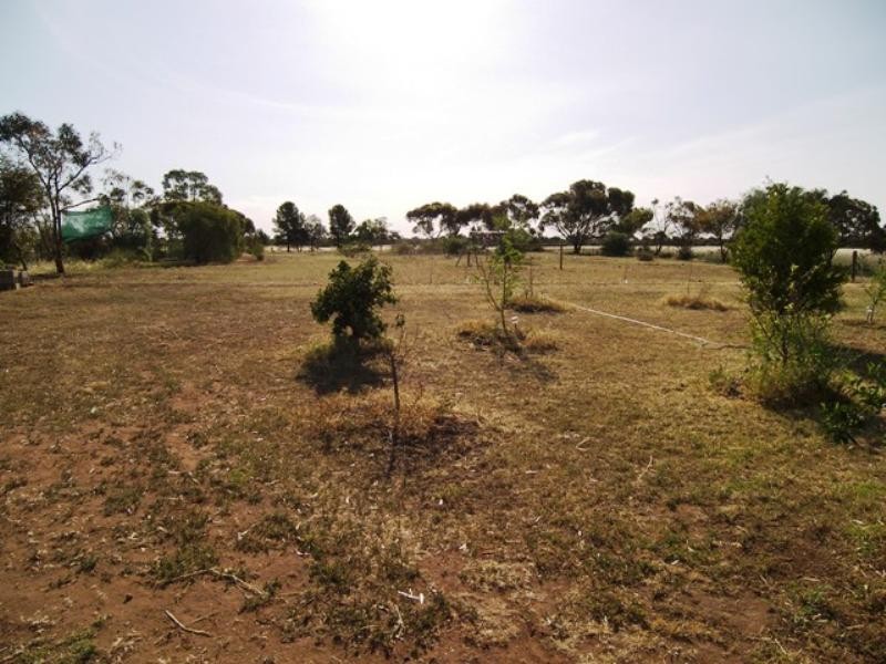 53 Aunger Road, Lewiston SA 5501