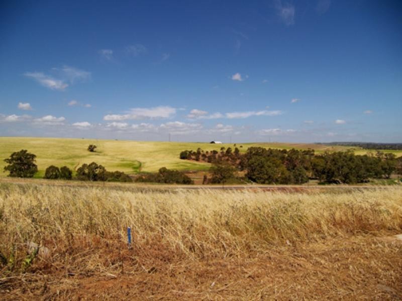 Lot 76 Mallard Place, Hewett SA 5118