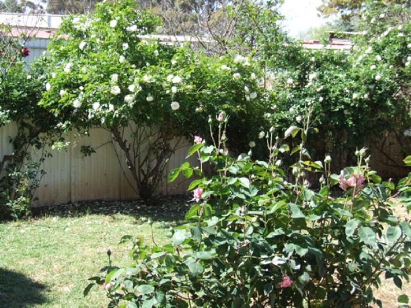 2 Jean Place, Riverton SA 5412