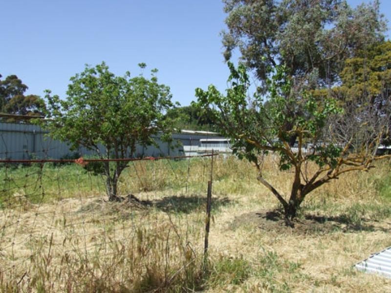 2 Jean Place, Riverton SA 5412