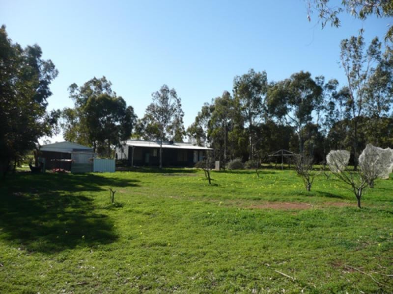 49 Gartell Street, Roseworthy SA 5371