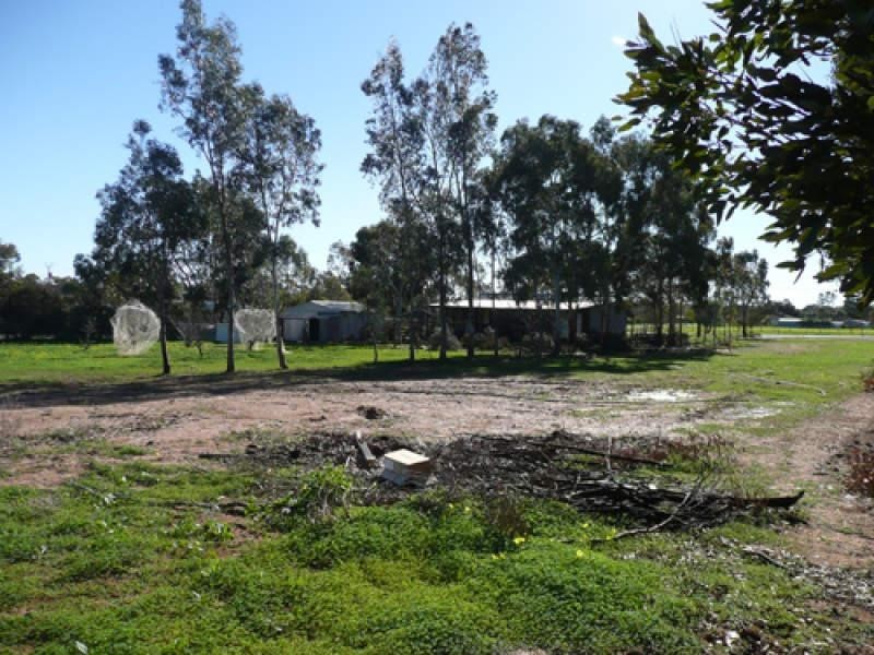 49 Gartell Street, Roseworthy SA 5371