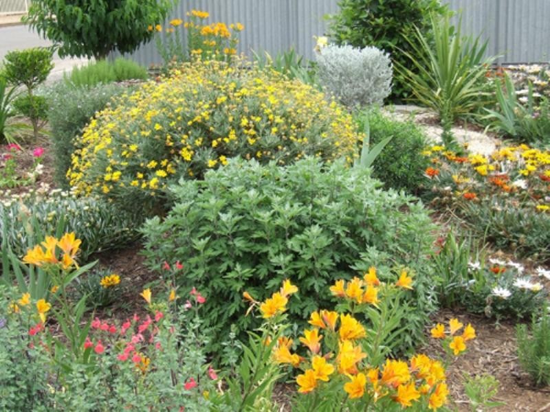 6 Swinden Street, Riverton SA 5412