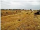 25 Buckland Park Road, Two Wells SA 5501