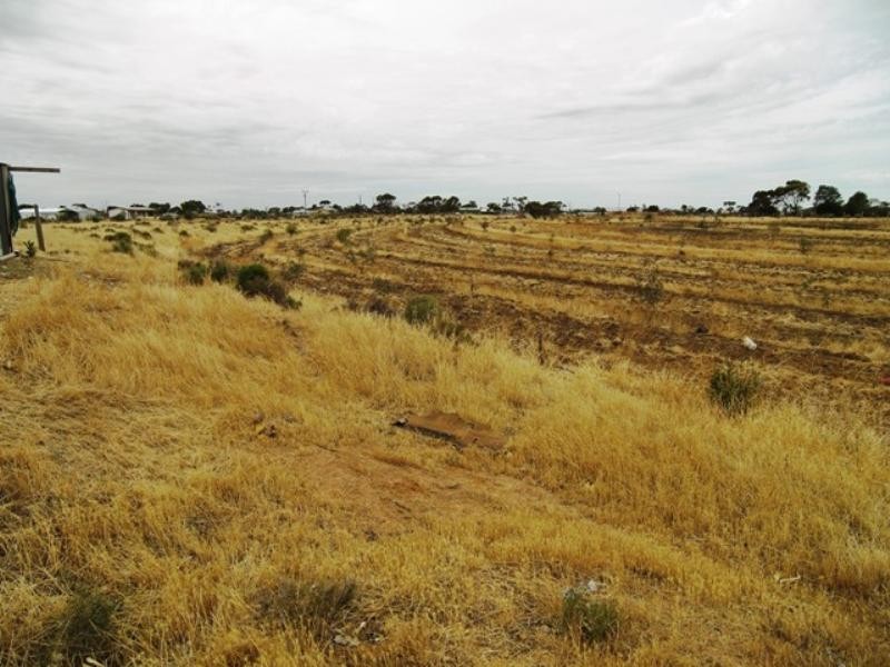 25 Buckland Park Road, Two Wells SA 5501