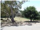 14 Bitter Crescent, Lyndoch SA 5351
