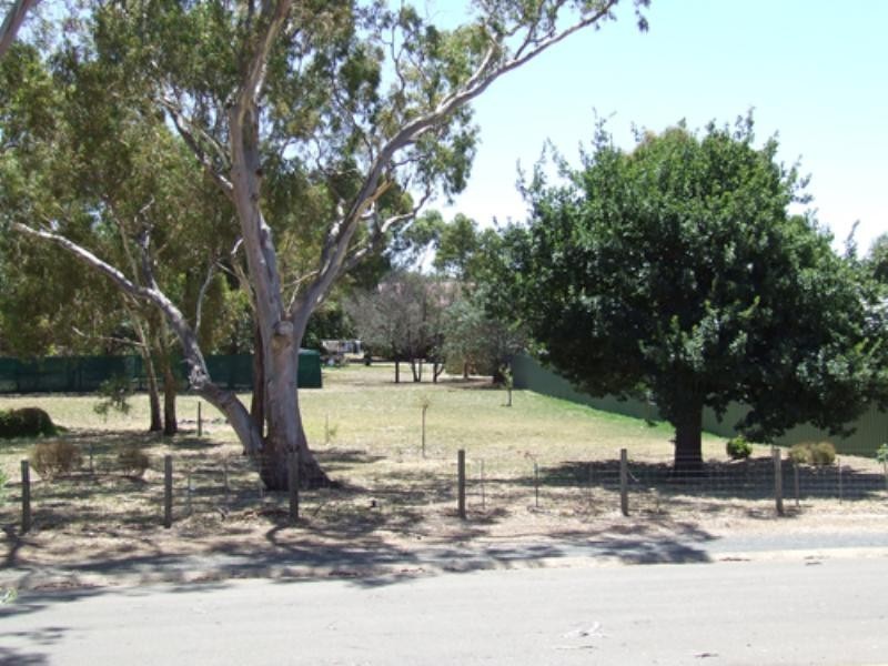 14 Bitter Crescent, Lyndoch SA 5351