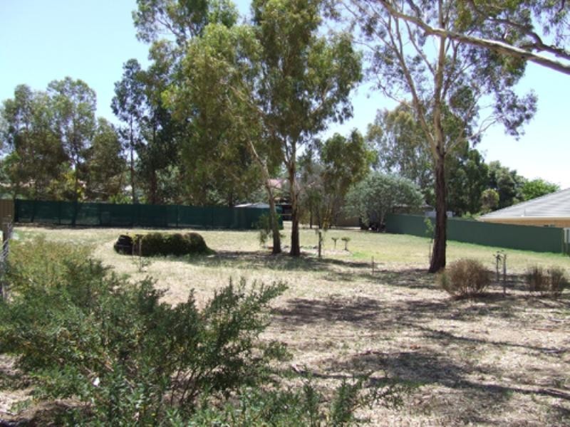 14 Bitter Crescent, Lyndoch SA 5351