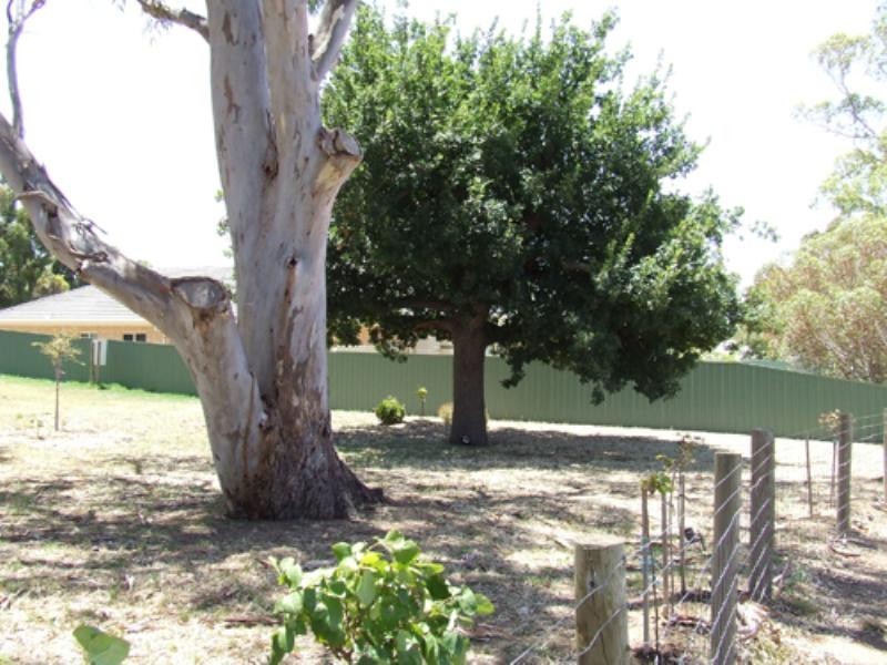 14 Bitter Crescent, Lyndoch SA 5351