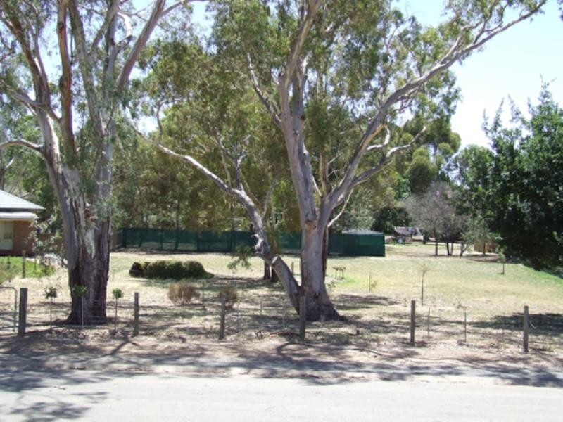 14 Bitter Crescent, Lyndoch SA 5351