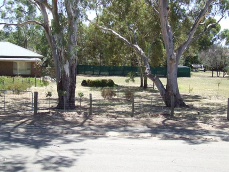 14 Bitter Crescent, Lyndoch SA 5351