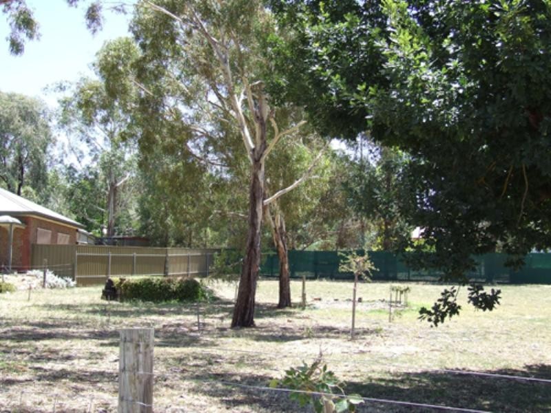 14 Bitter Crescent, Lyndoch SA 5351