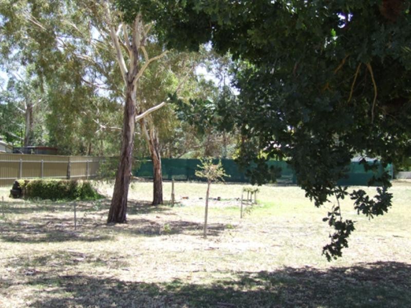 14 Bitter Crescent, Lyndoch SA 5351