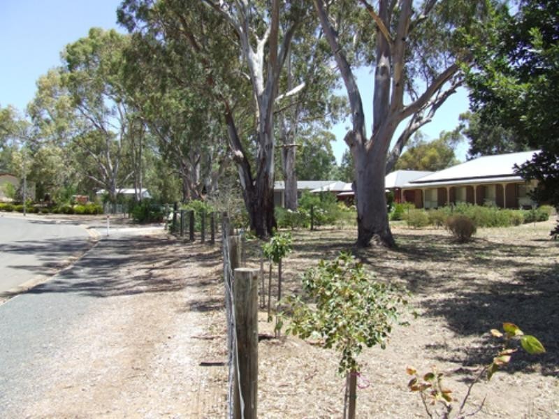 14 Bitter Crescent, Lyndoch SA 5351