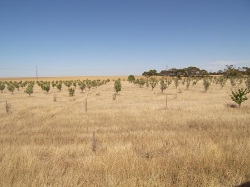 469 Government Road, Owen SA 5460