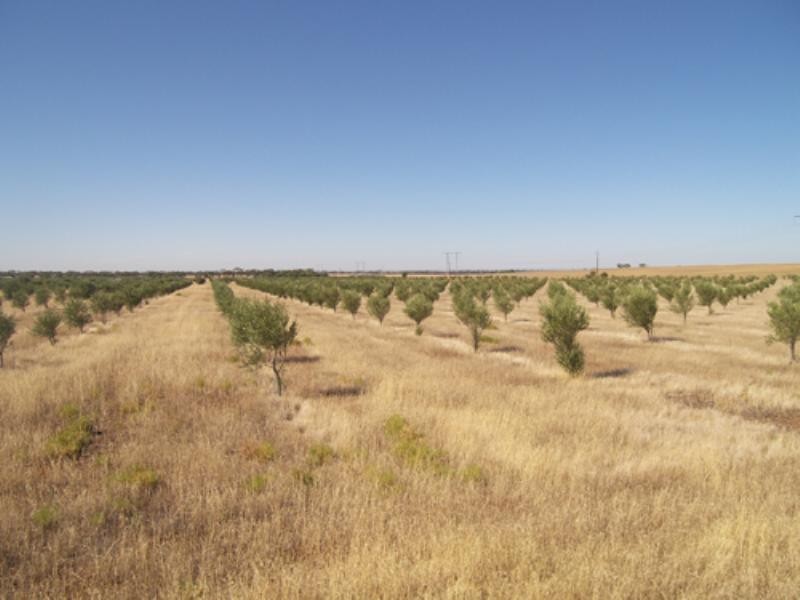 469 Government Road, Owen SA 5460