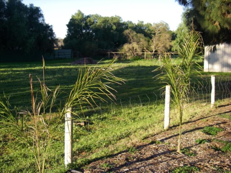 19A McIntyre Road, Macdonald Park SA 5121