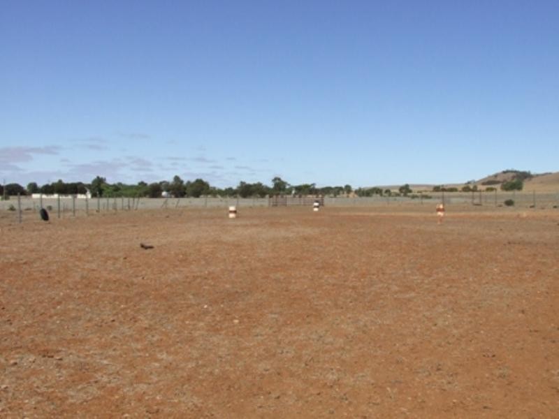 Lot 368 Eudunda Road, Eudunda SA 5374