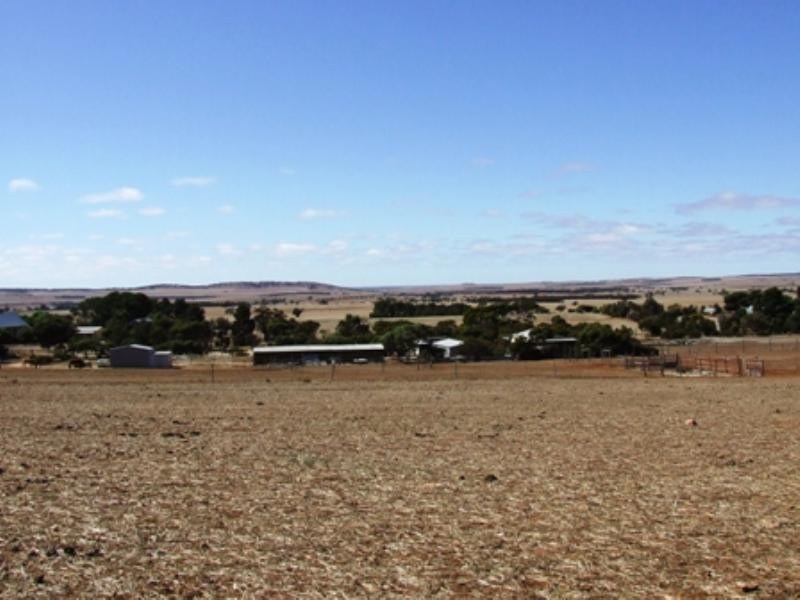 Lot 368 Eudunda Road, Eudunda SA 5374