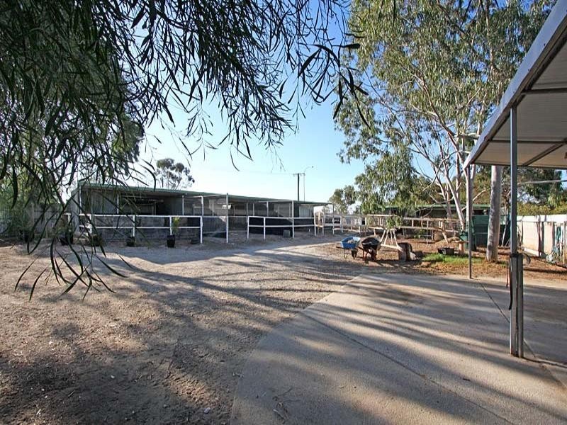 74 Weaver Road, Buchfelde SA 5118