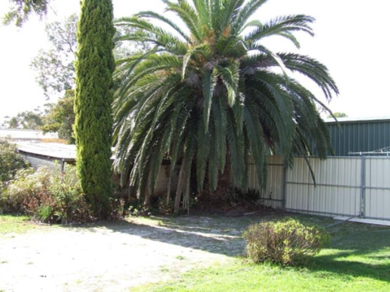 2 Jean Place, Riverton SA 5412