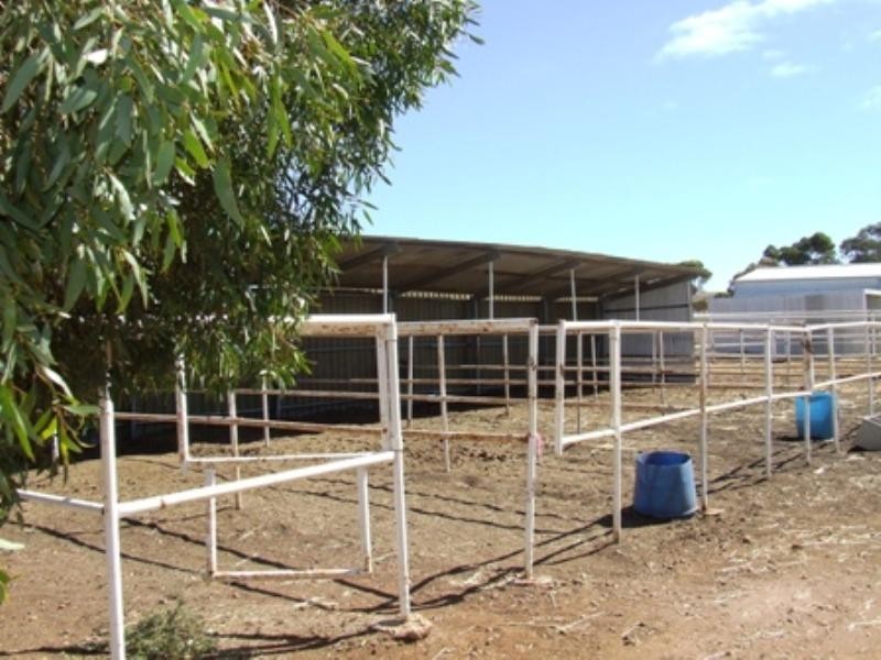 Lot 368 Eudunda Road, Eudunda SA 5374