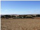 Lot 368 Eudunda Road, Eudunda SA 5374