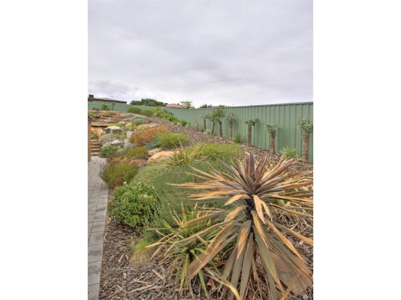 16 Shrike Place, Hewett SA 5118