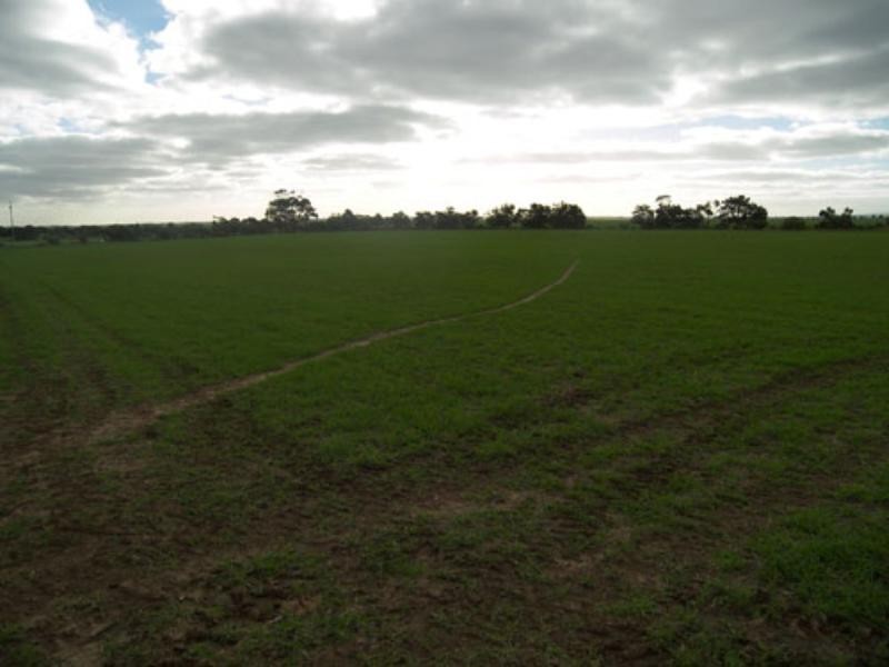 Sect 424 Magdala Road, Templers SA 5371