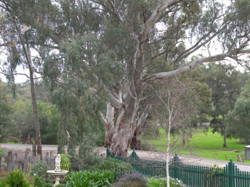 7 Little Eva Street, Williamstown SA 5351