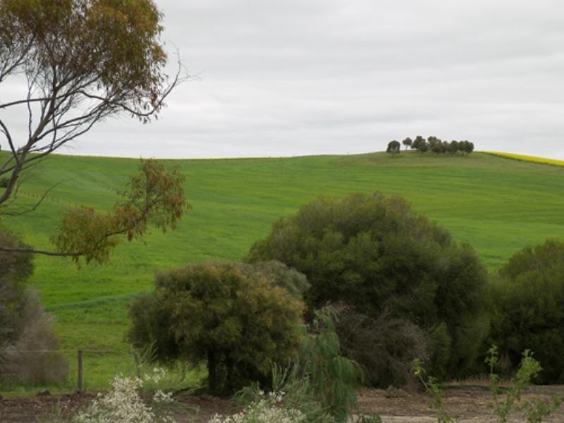 Lot 2 Eudunda Truro Road, Truro SA 5356