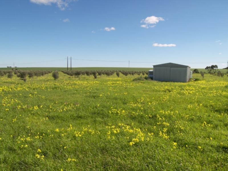 469 Government Road, Owen SA 5460