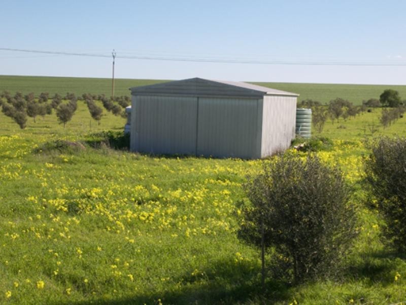 469 Government Road, Owen SA 5460