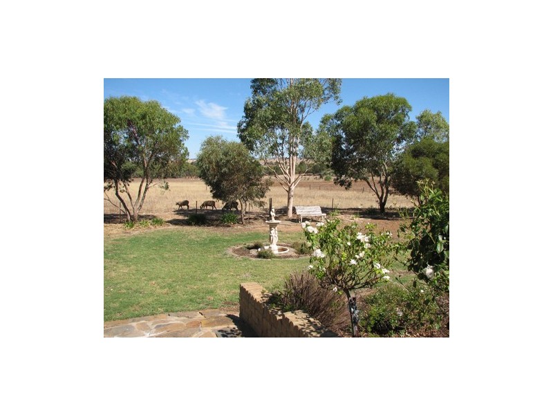 Lot 23 Klemm Road, Kapunda SA 5373