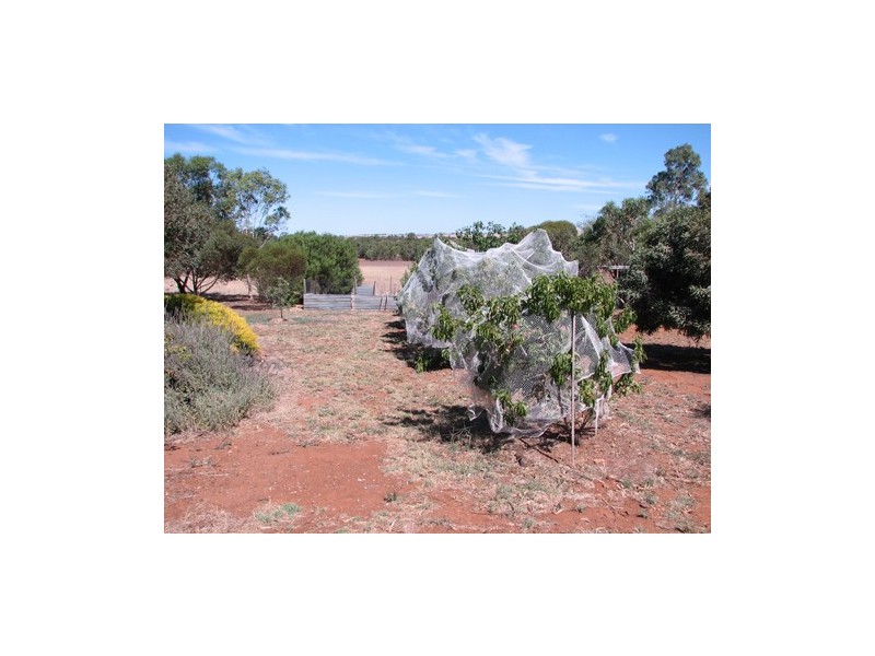 Lot 23 Klemm Road, Kapunda SA 5373