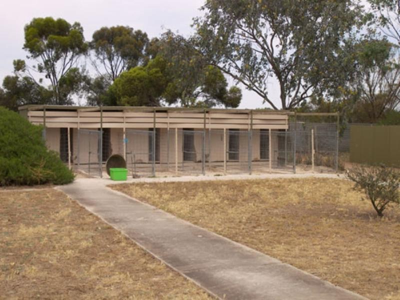 222 Hayman Road, Lewiston SA 5501