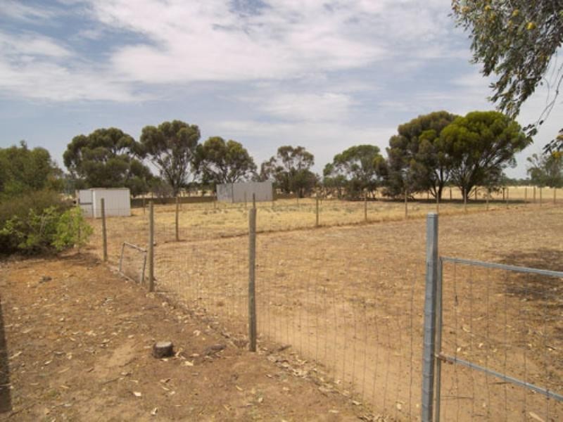 222 Hayman Road, Lewiston SA 5501