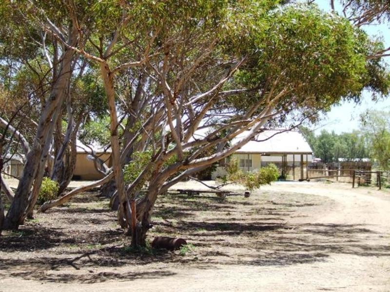 7 Fertile Avenue, Two Wells SA 5501