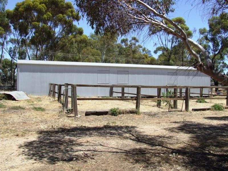 7 Fertile Avenue, Two Wells SA 5501