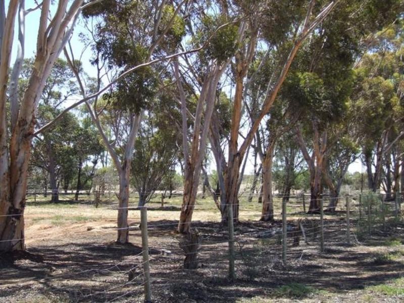 7 Fertile Avenue, Two Wells SA 5501