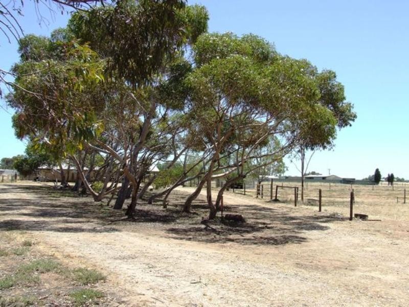 7 Fertile Avenue, Two Wells SA 5501