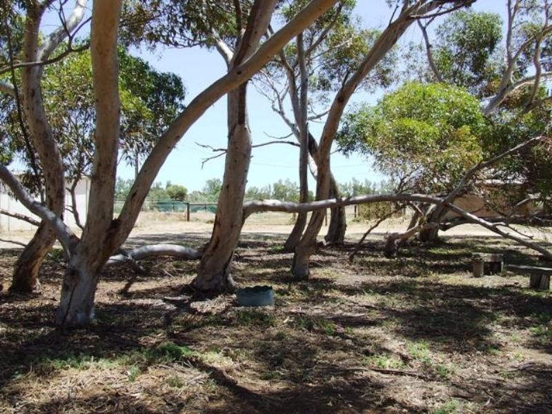 7 Fertile Avenue, Two Wells SA 5501