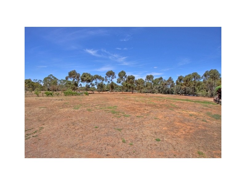 12 Coombs Court, Lewiston SA 5501